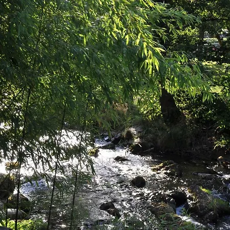 Camping Jardin La Vie En Vert En Ariege Augirein