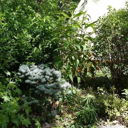Campsite Camping Jardin La Vie En Vert En Ariege