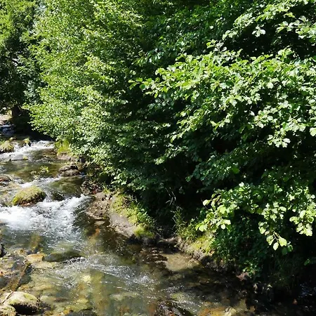 Camping Camping Jardin La Vie En Vert En Ariege *